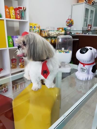 Amare Pet Shop